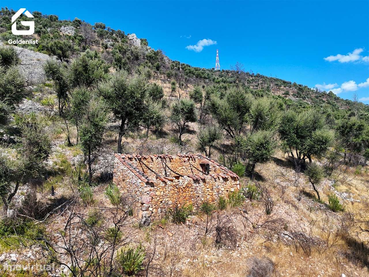 Terreno  Venda em Espírito Santo, Nossa Senhora da Graça e São Simão,N-5