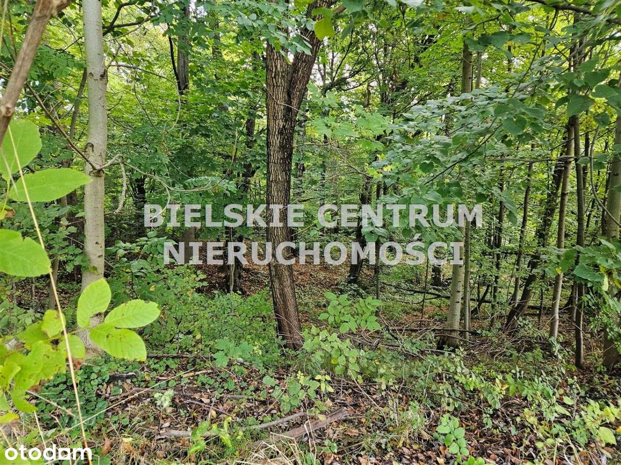 Działka, 13 942 m², Mazańcowice-14