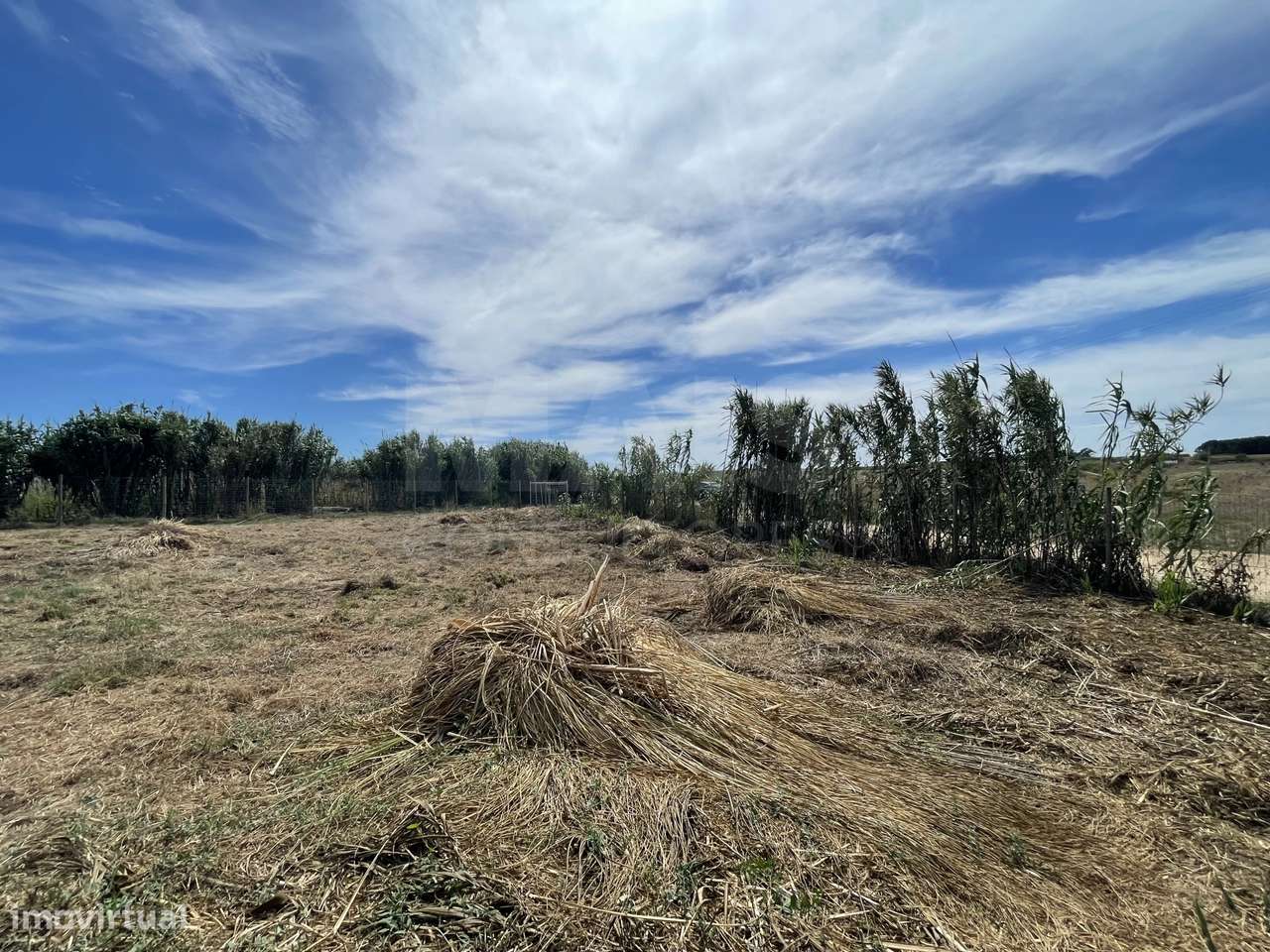 Terreno Rústico Perto do Baleal - Grande imagem: 4/31