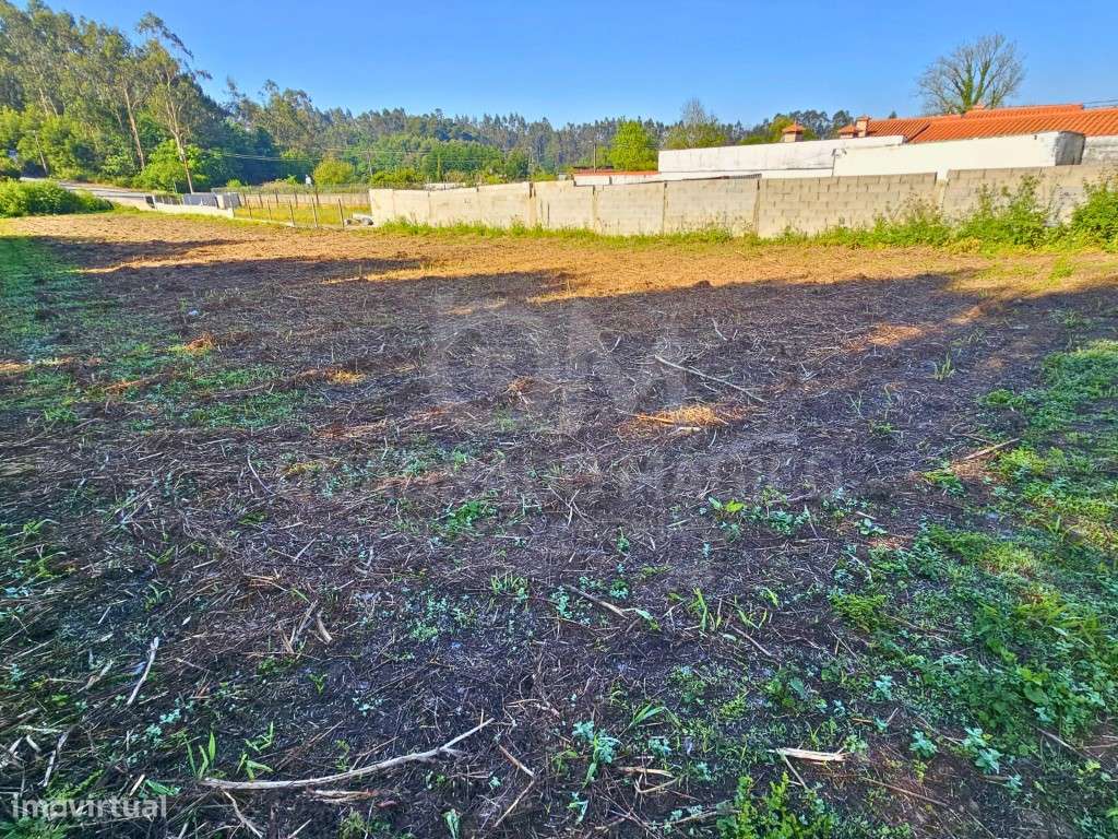 Oportunidade de Investimento Agrícola: Terreno de 1.800 m² com Pote...-5