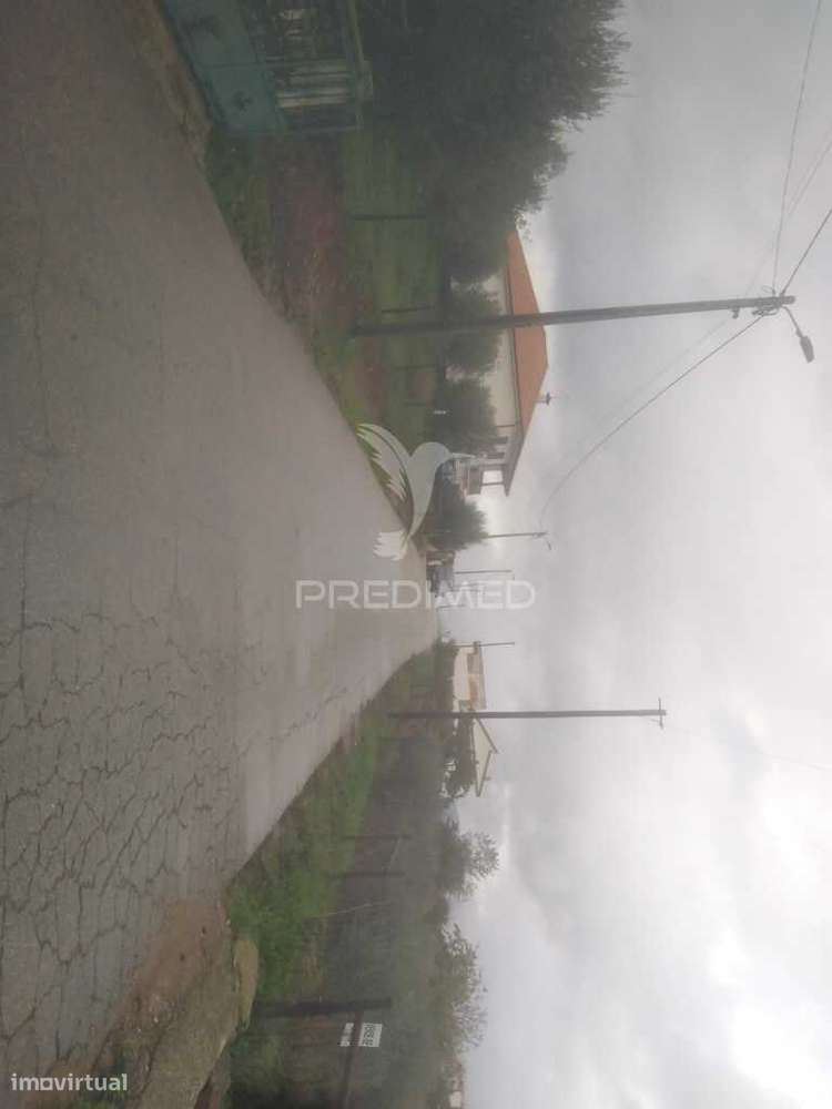 Terreno/Olival com Viabilidade de Construção - Grande imagem: 2/20