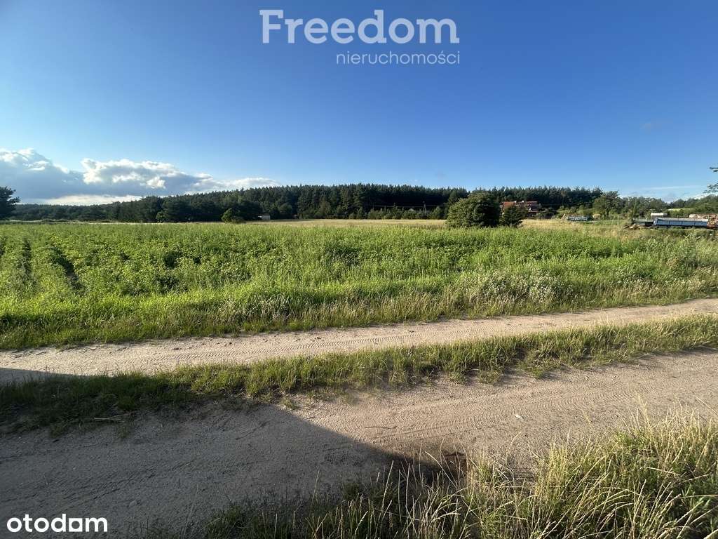 Działka Napiwoda Mazury Nidzica 7km - Pełny obrazek: 4/20