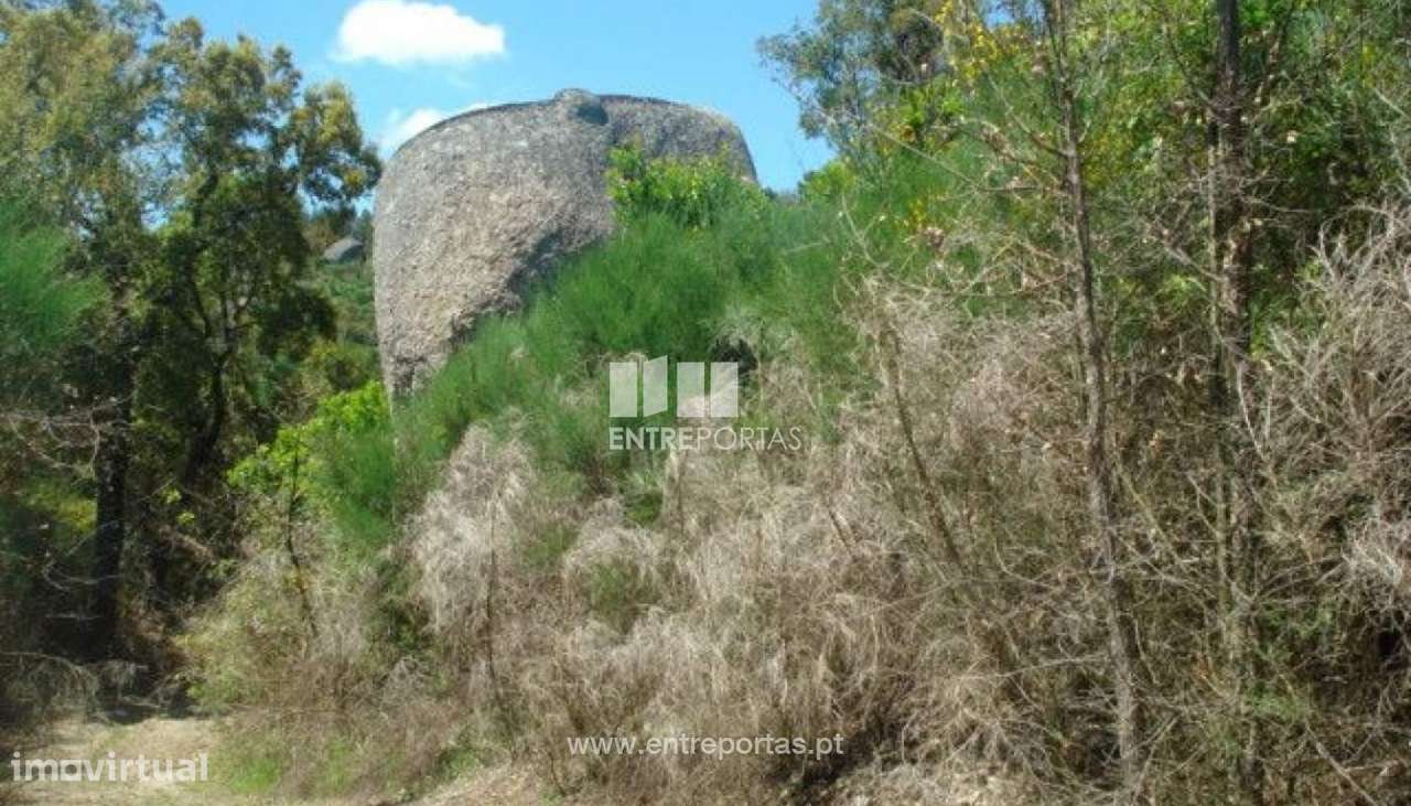 Venda Terreno, junto à estrada, Santa Cruz do Douro, Baião - Grande imagem: 5/8