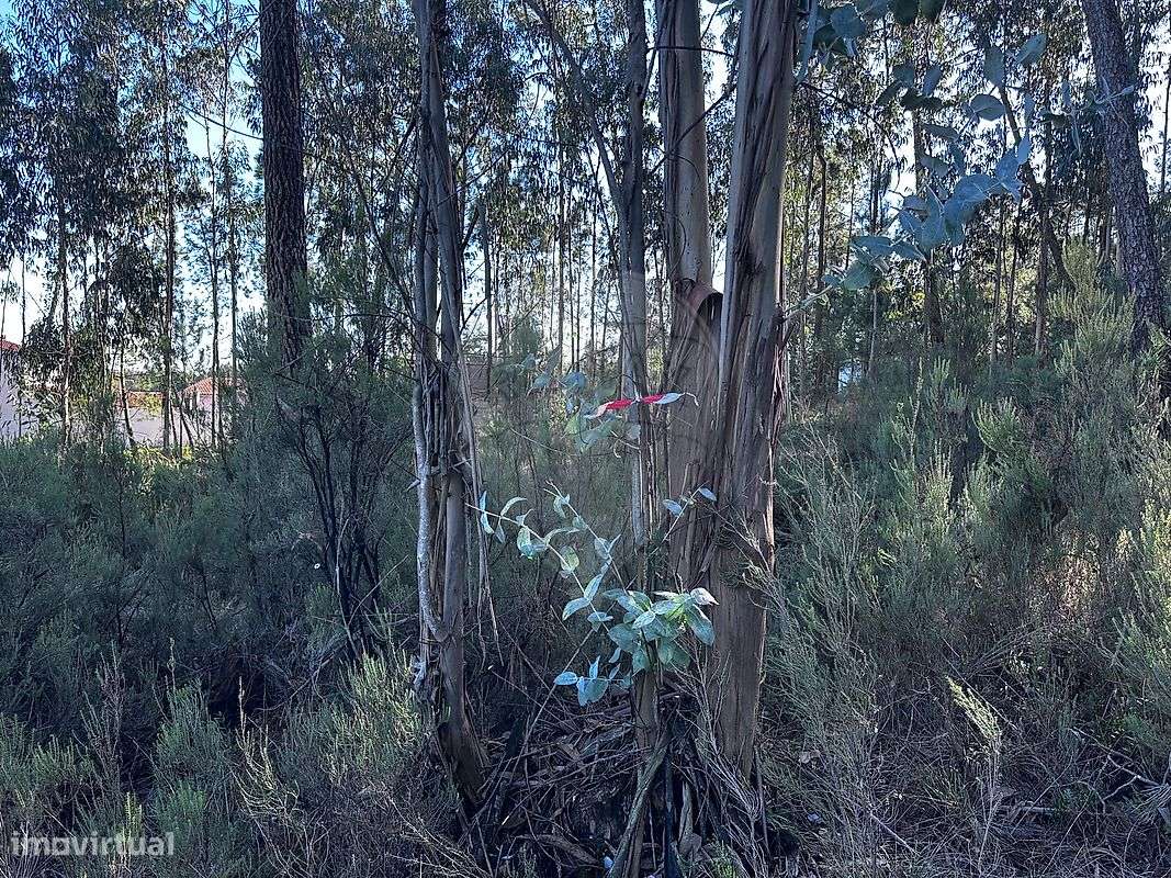 Terreno  para venda - Grande imagem: 4/17