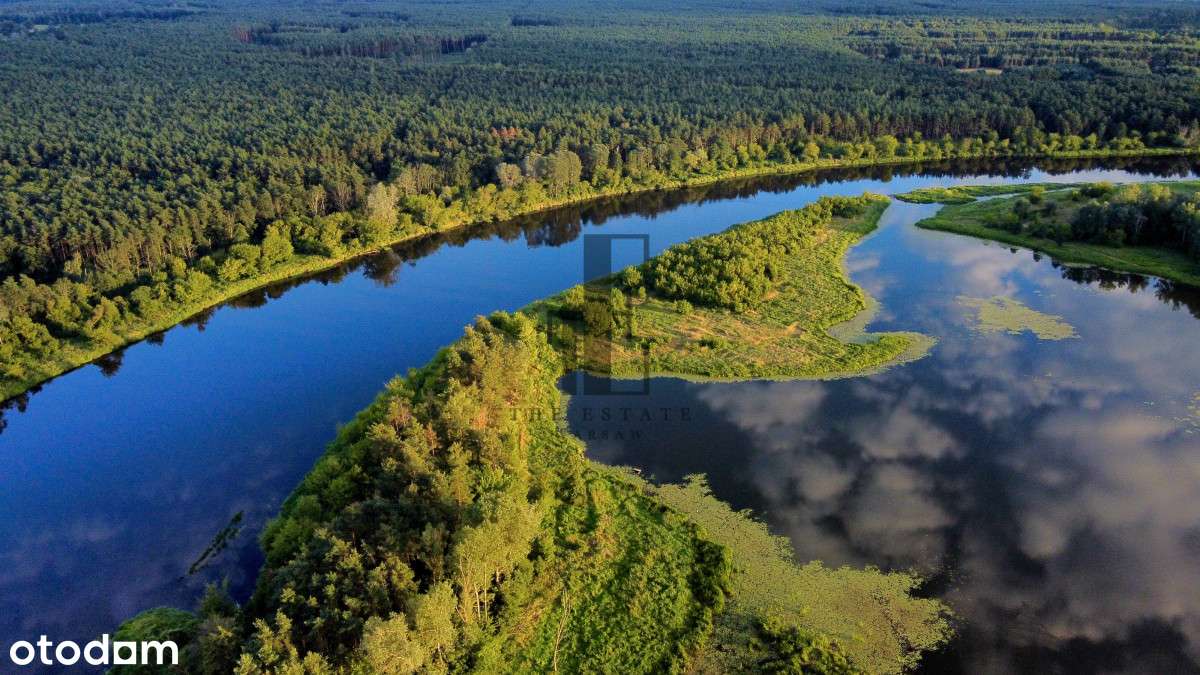 Działka na wsi | 1h od Warszawy | Rzeka | Las | Ci - Pełny obrazek: 4/4