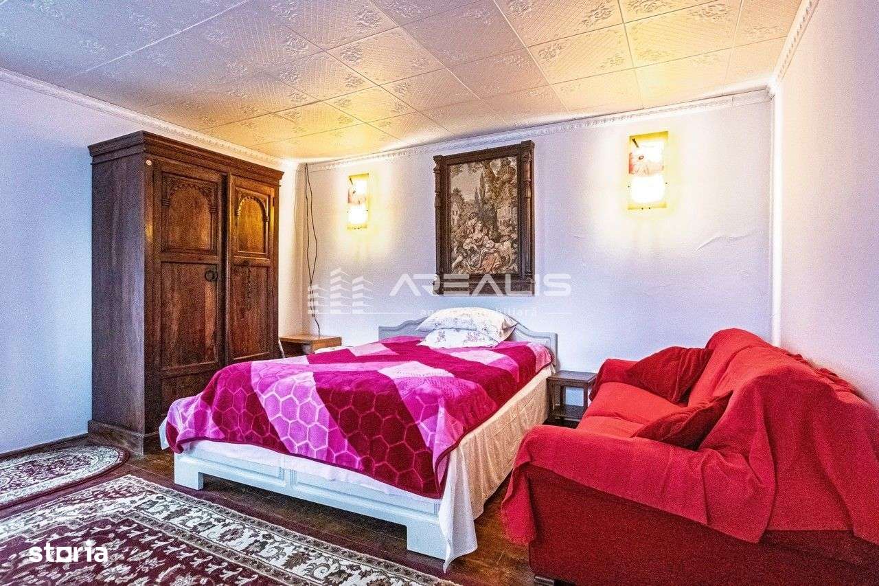 Casă de vis într-o oază de liniște – Bodrogu Nou, Arad-10
