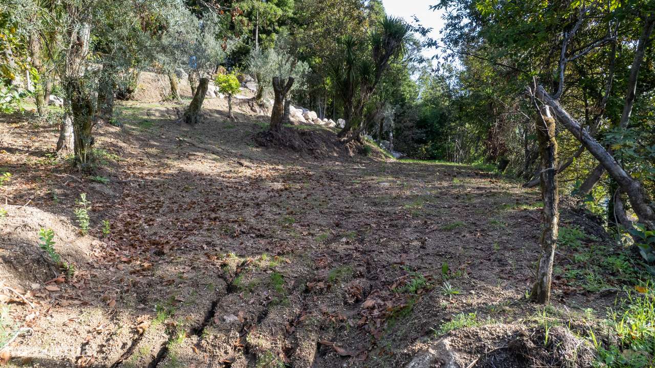 Terreno com Ruína em Pedra às Portas do Gerês – Póvoa de Lanhoso - Grande imagem: 5/44