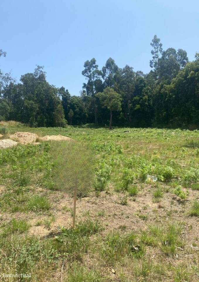 Terreno para Construção em Santa Maria da Feira - Grande imagem: 4/5
