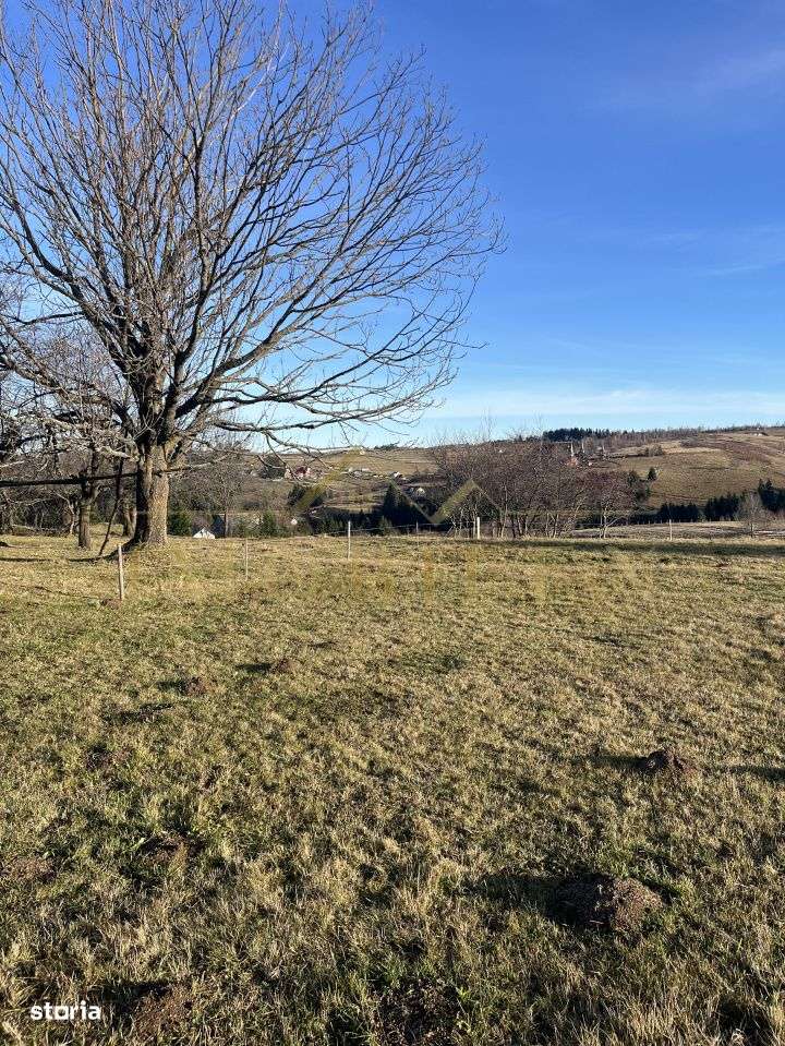 Teren de 20.000 mp , parcelabil in Marisel - Imagine principală: 4/6