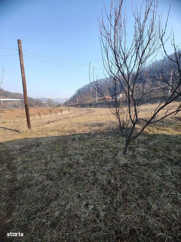 Casă și teren in Fizeș,la 16 kilometri de Deva - Imagine principală: 3/12