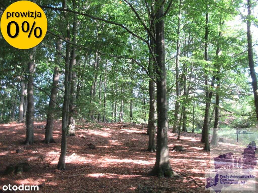 Działka nad jeziorem Woświn-5