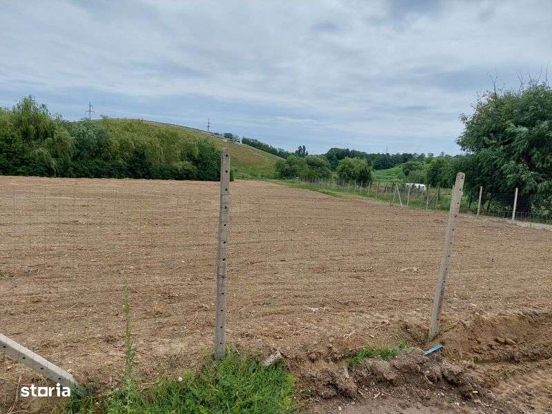 Ofer spre inchiriere teren intravilan 4000 m2 - Imagine principală: 4/7