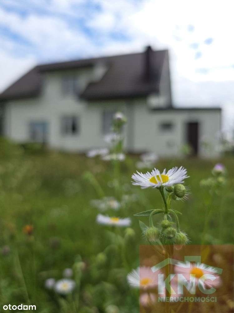 Dom dla rodziny *6 pokoi/garaż/duża działka*Miasto - Pełny obrazek: 4/9