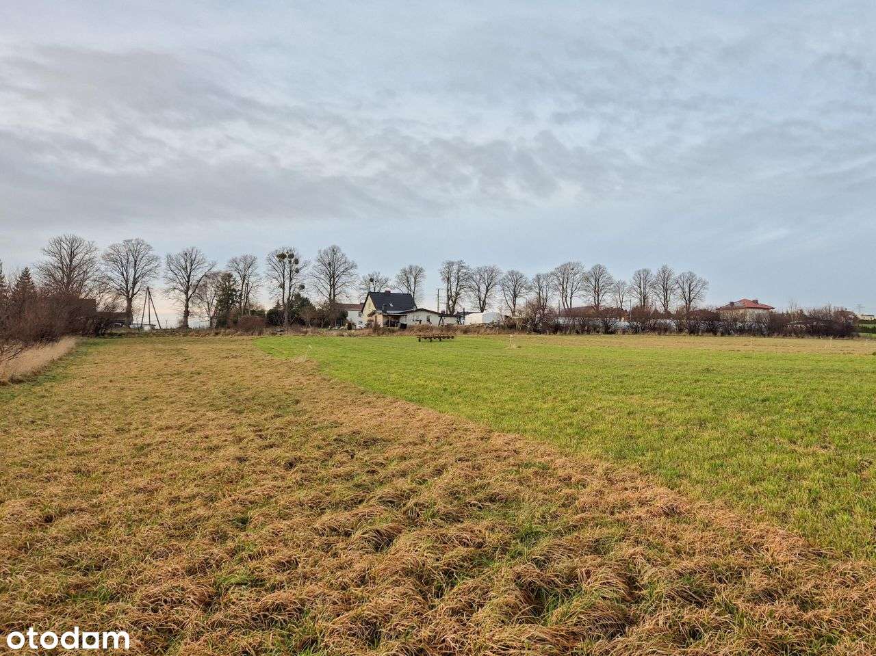 Działka, 1 336 m², Rybno-2