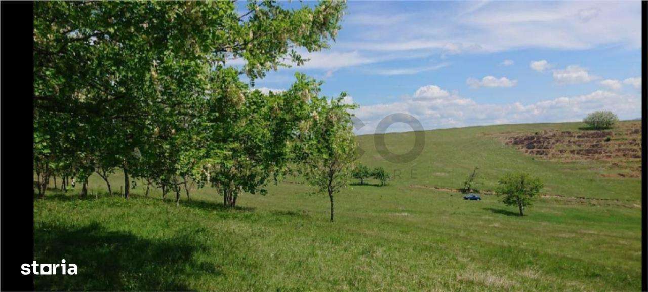 Reco  Teren extravilan Tileagd - Imagine principală: 3/10