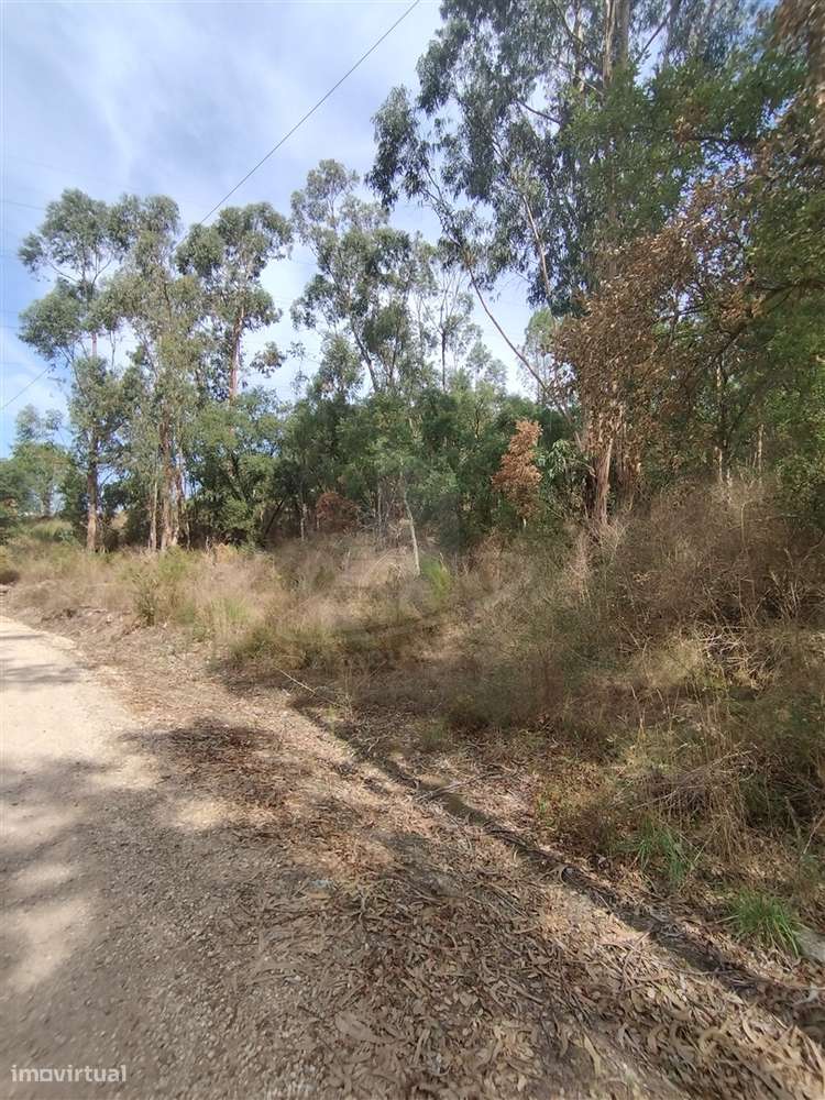 🏡 Com Projeto para 2 Moradias - Grande imagem: 4/11