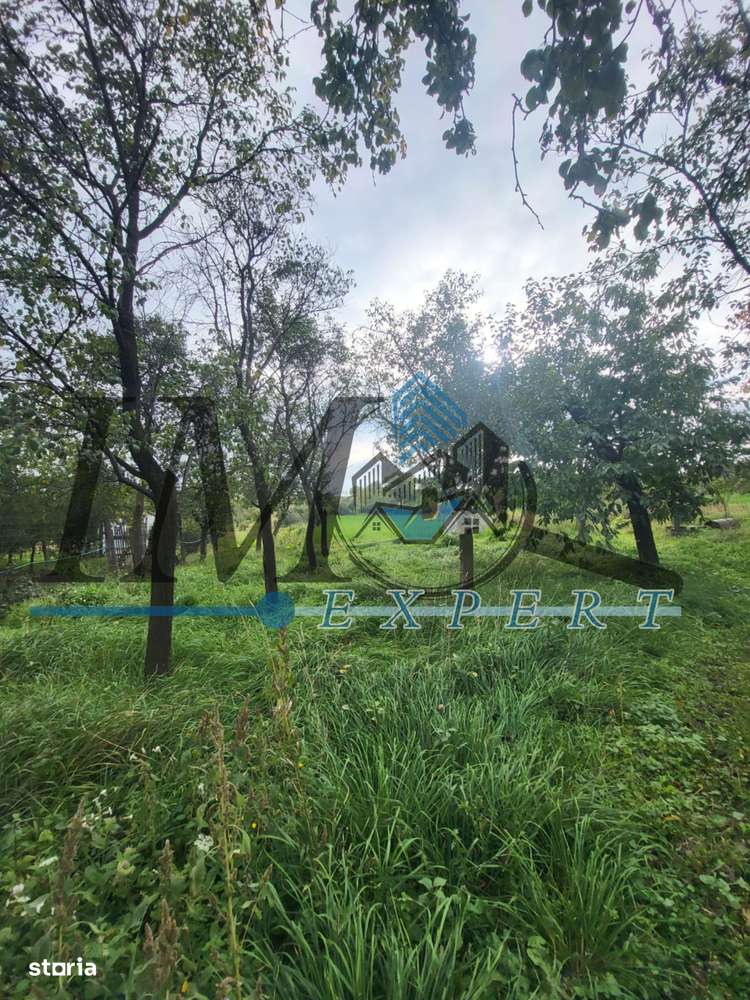 Casa in Rahau cu 4 camere-10