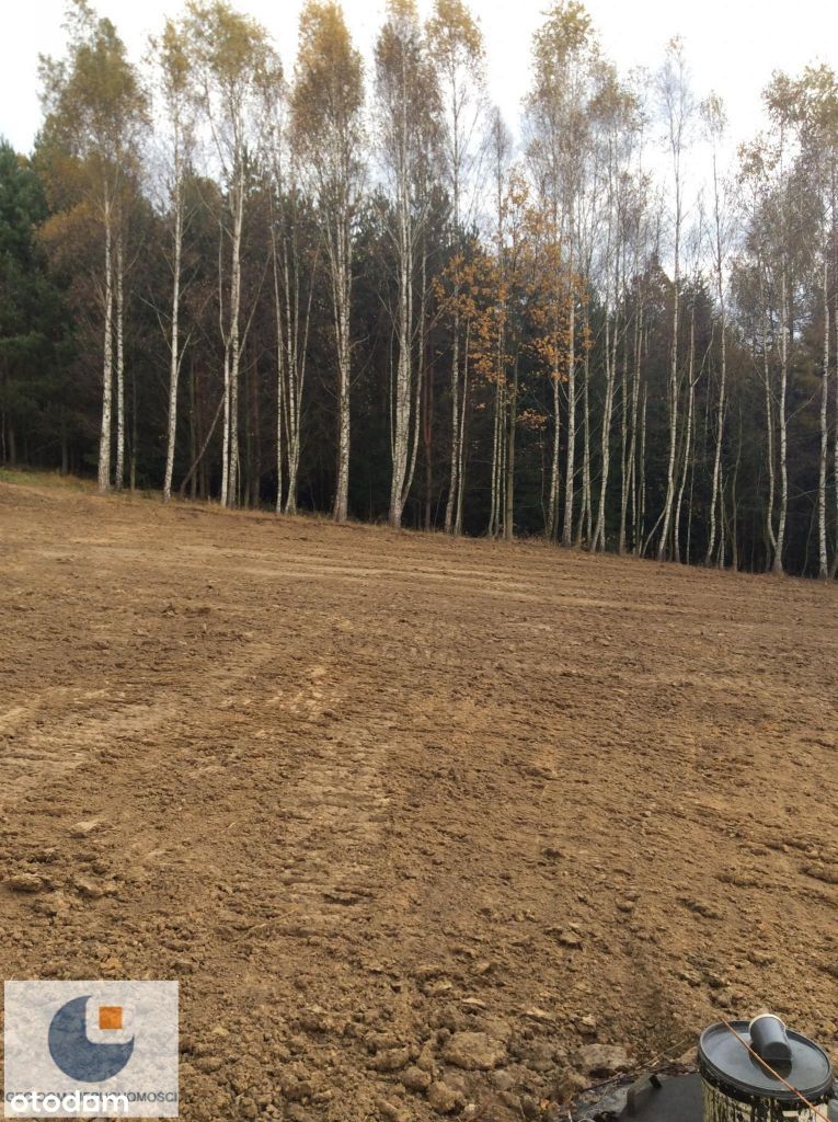 Działka W Otoczeniu Enklawy Leśnej-stok płd