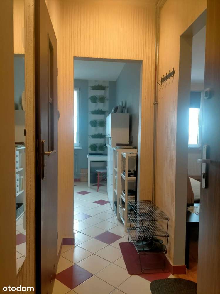 przestronna kawalerka w niskiej zabudowie-2