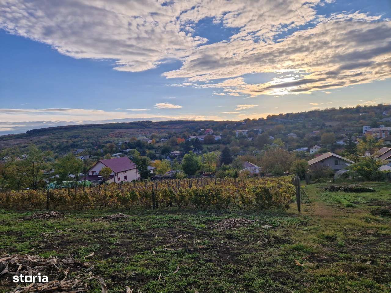 Teren in suprafata de 1308 mp in com. Rediu - Imagine principală: 3/7