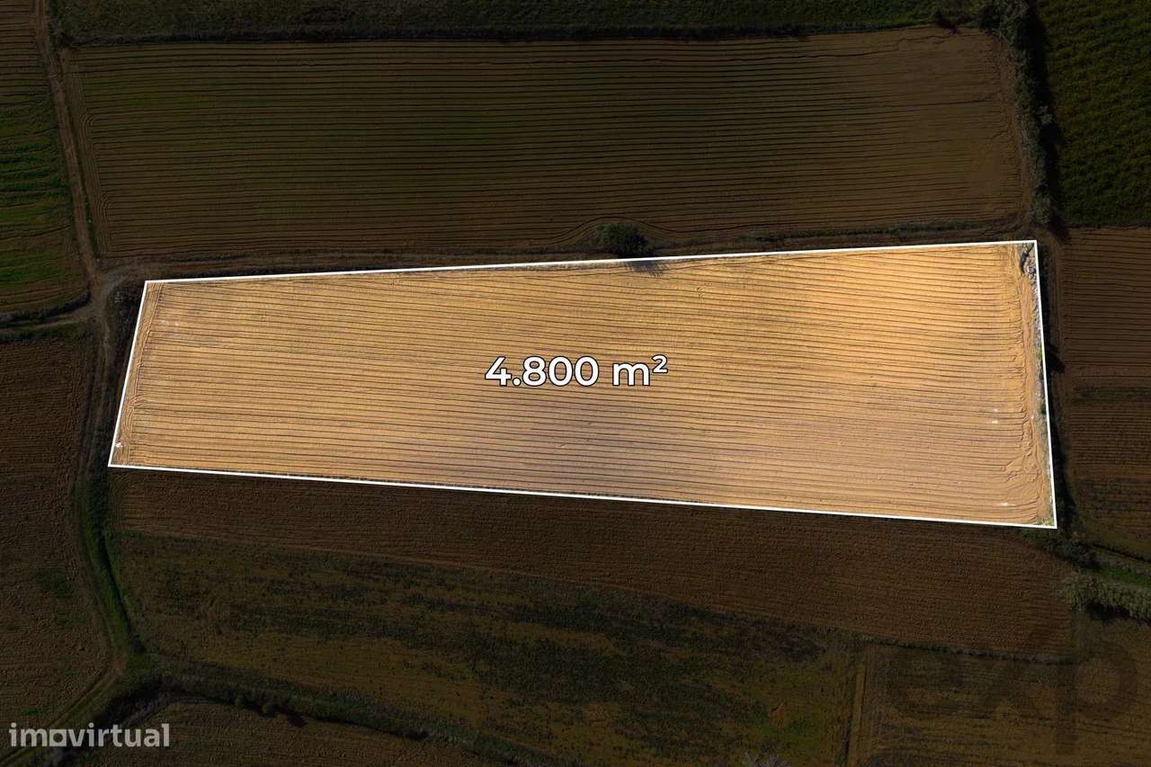 Terreno com bom potencial - Grande imagem: 4/10