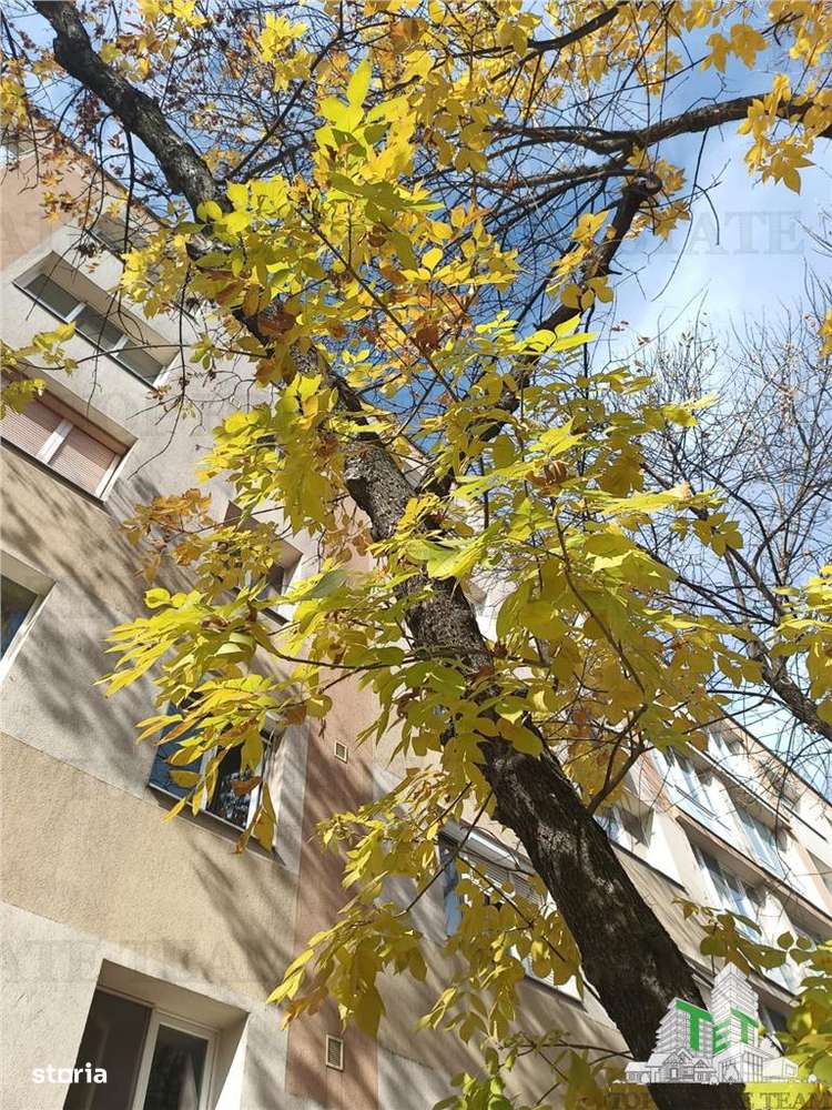 Apartament frumos intr-un bloc reabilitat, cu 3 camere si balcon in Dr-0