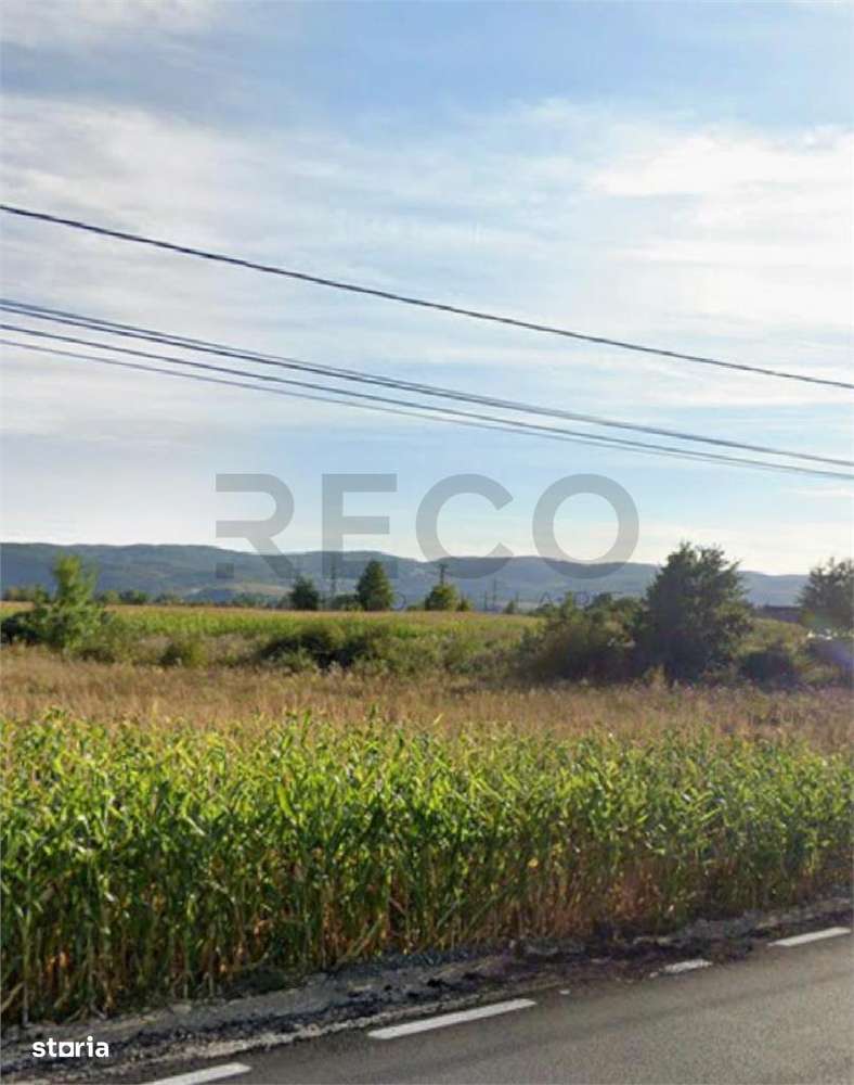 RECO  Teren in  Topa de  Cris  7560mp aproape de E60 - Imagine principală: 2/2