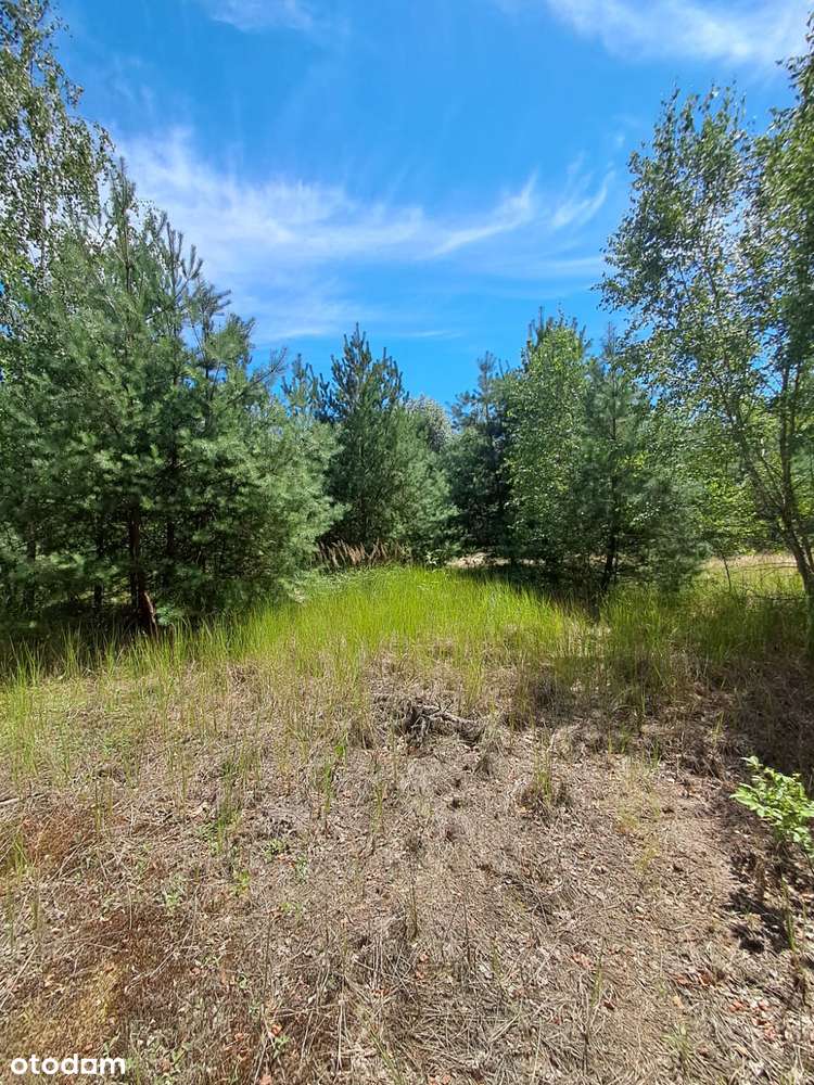 Działka budowlana o powierzchni 1686 m2, Prażuchy Nowe-5