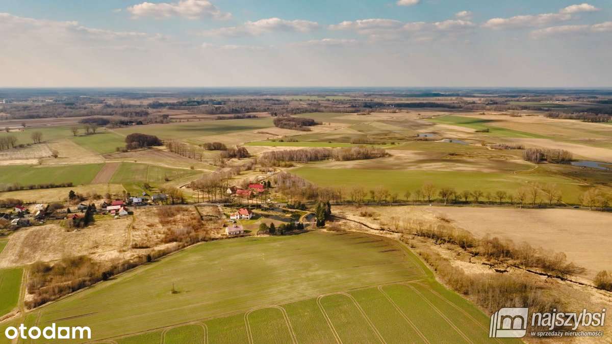 Maszewo-Jenikowo działka 2 ha - Vista 6