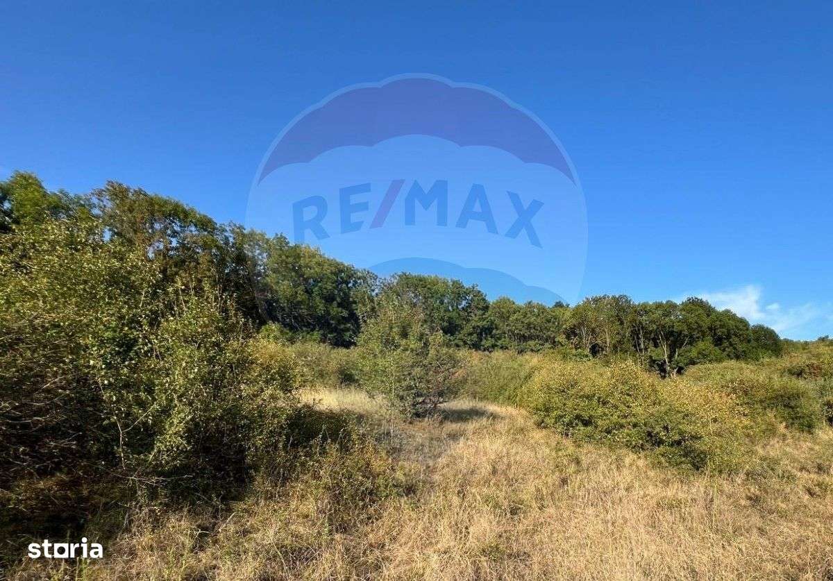 Teren cu pârâu | 50,000 mp | zona Caianu-Vama | la liziera pădurii - Imagine principală: 5/17