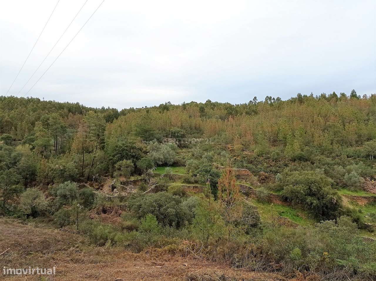 TERRENO RÚSTICO 2000m2 MONTEZAS, CEBOLAIS E  RETAXO, CASTELO BRANCO - Grande imagem: 4/11