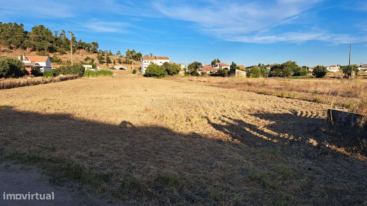 Terreno  Rústico em Riachos, Torres Novas - 4975m² - Grande imagem: 5/6