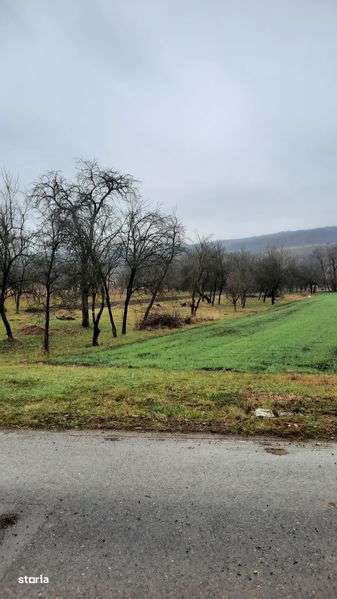 Teren intravilan - Imagine principală: 5/5