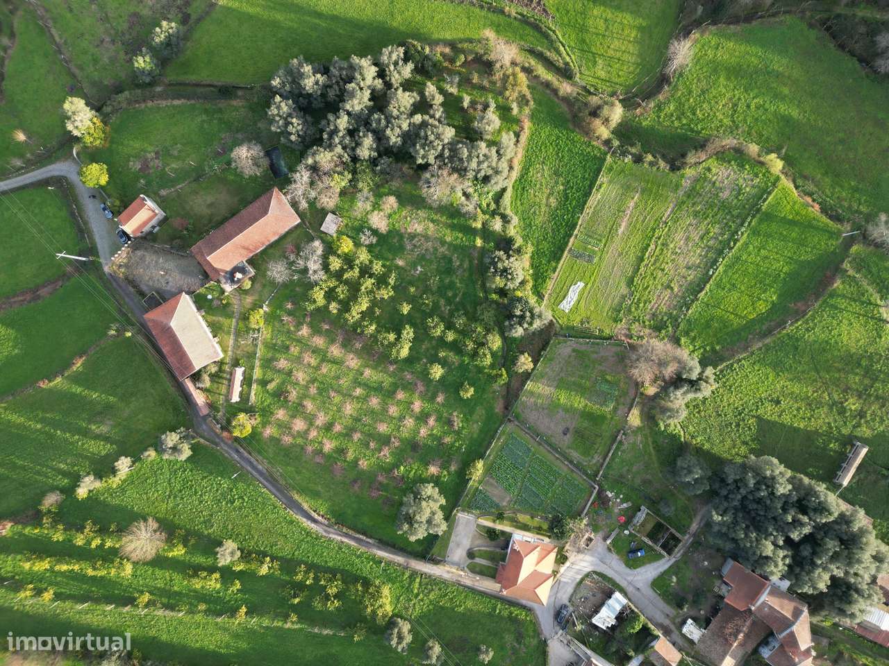 Quinta T6 Venda em Valdreu,Vila Verde-20