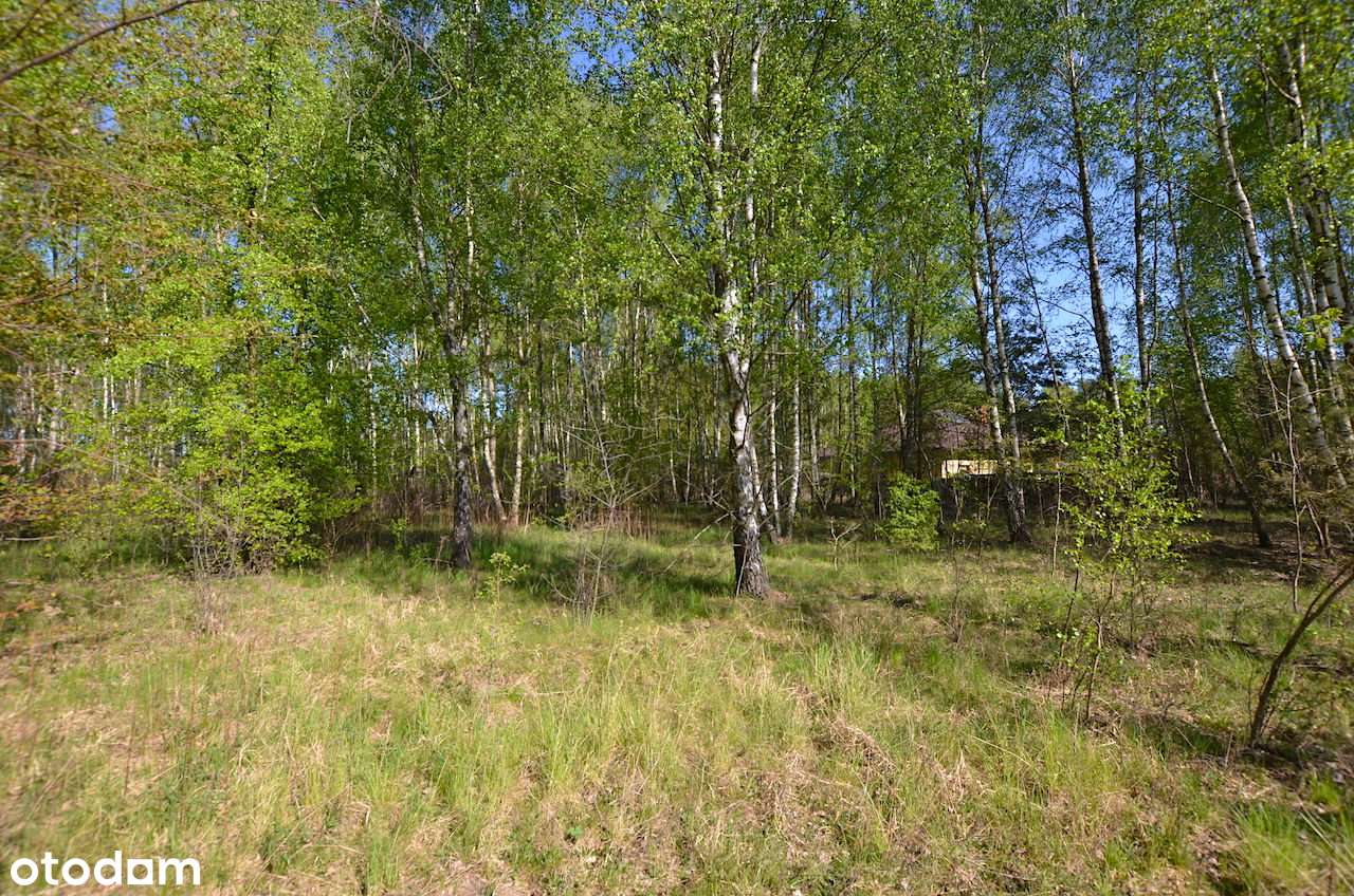 Działka budowlana 2000 m2 / Adamów-Parcel-5