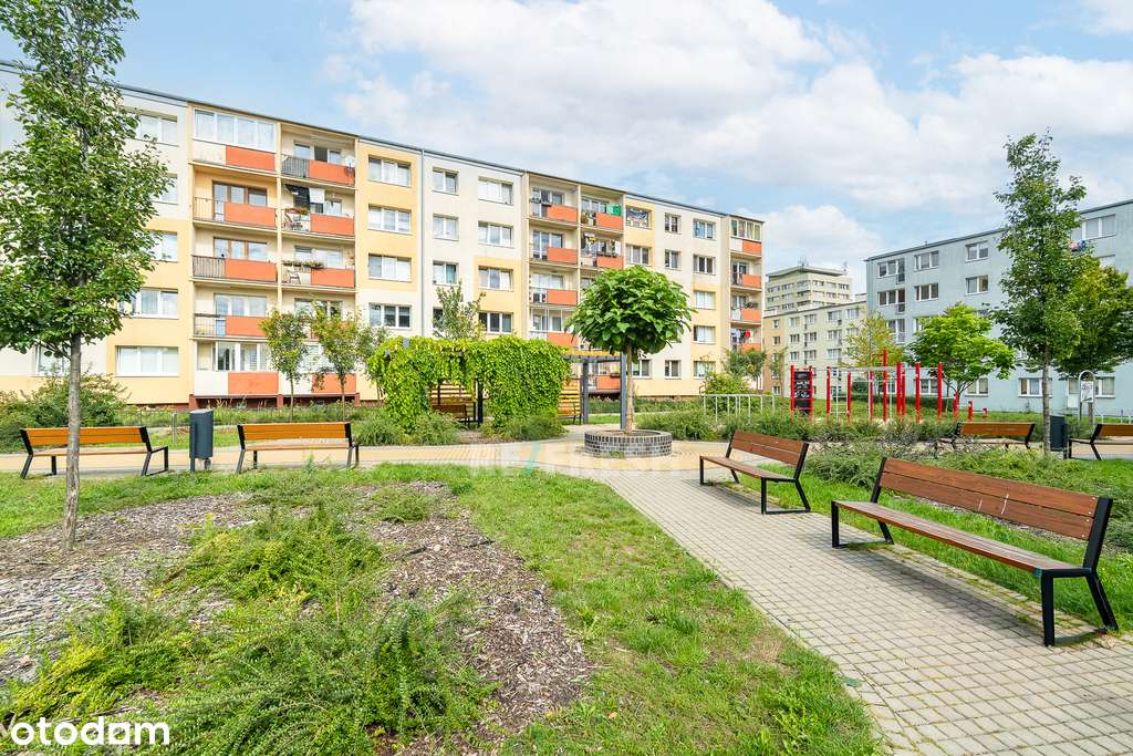 Jasne mieszkanie po remoncie | 2 pokoje | Komuny P-11