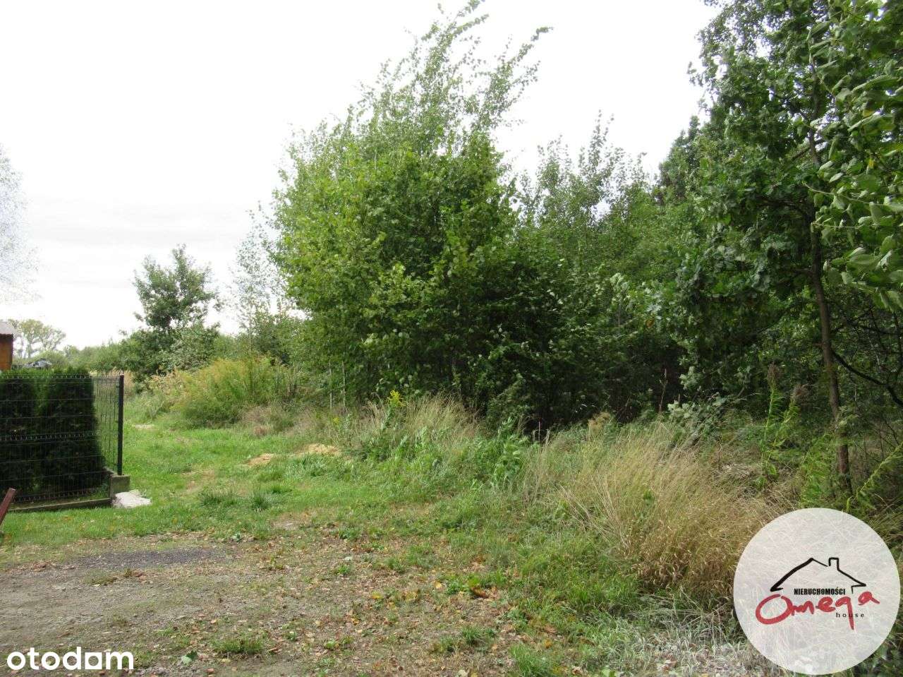 Działka budowlana - Pełny obrazek: 4/5