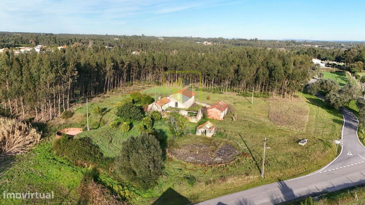 Quinta - Grande imagem: 4/33