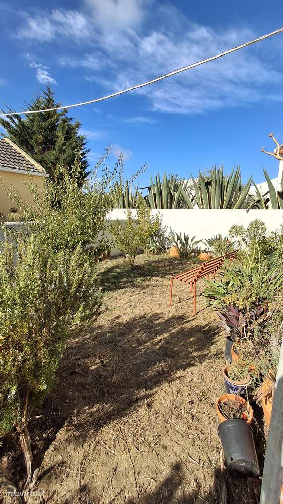 Magnifica propriedade constituída por armazém e moradia bi-familiar.-15