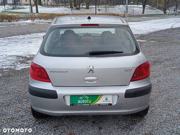 Peugeot 307 1.6 Premium - 14