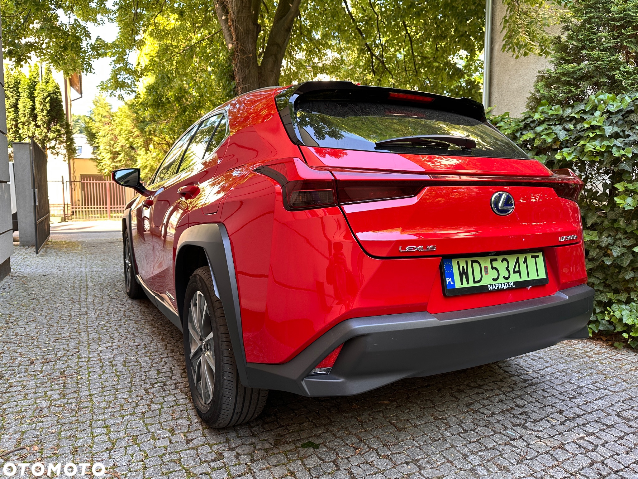 Lexus UX 300e 54.3 kWh Business Edition 2WD - 6