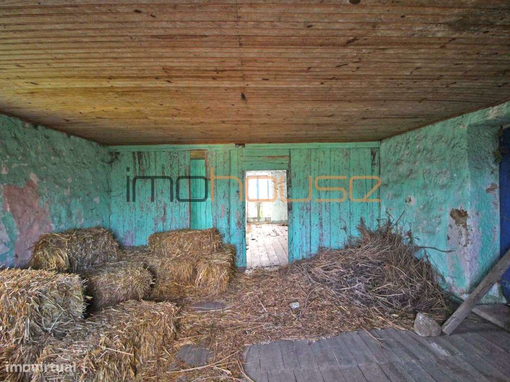 Quinta de 2ha com várias edificações - Terreno Plano-14