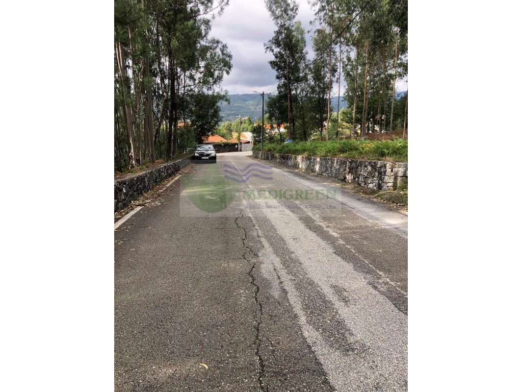 TERRENO PARA CONSTRUÇÃO | SILVA ESCURA - SEVER DO VOUGA - Grande imagem: 5/5