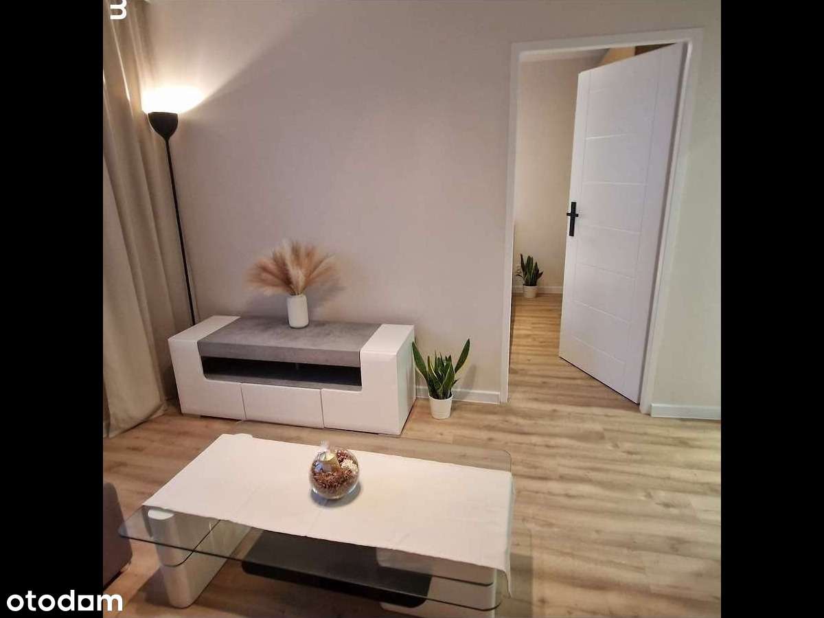 Przytulne 2 pokojowe, po remoncie zostań pierwszym najemcą! - Pełny obrazek: 4/13