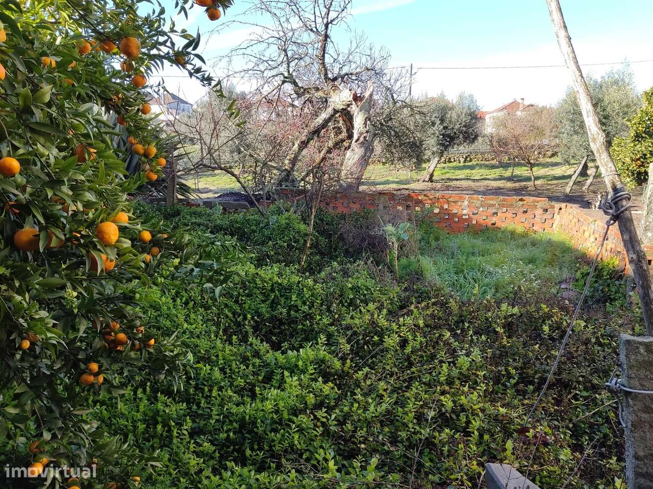 Moradia Devoluta T3 Venda em Sezures,Penalva do Castelo - Grande imagem: 4/5
