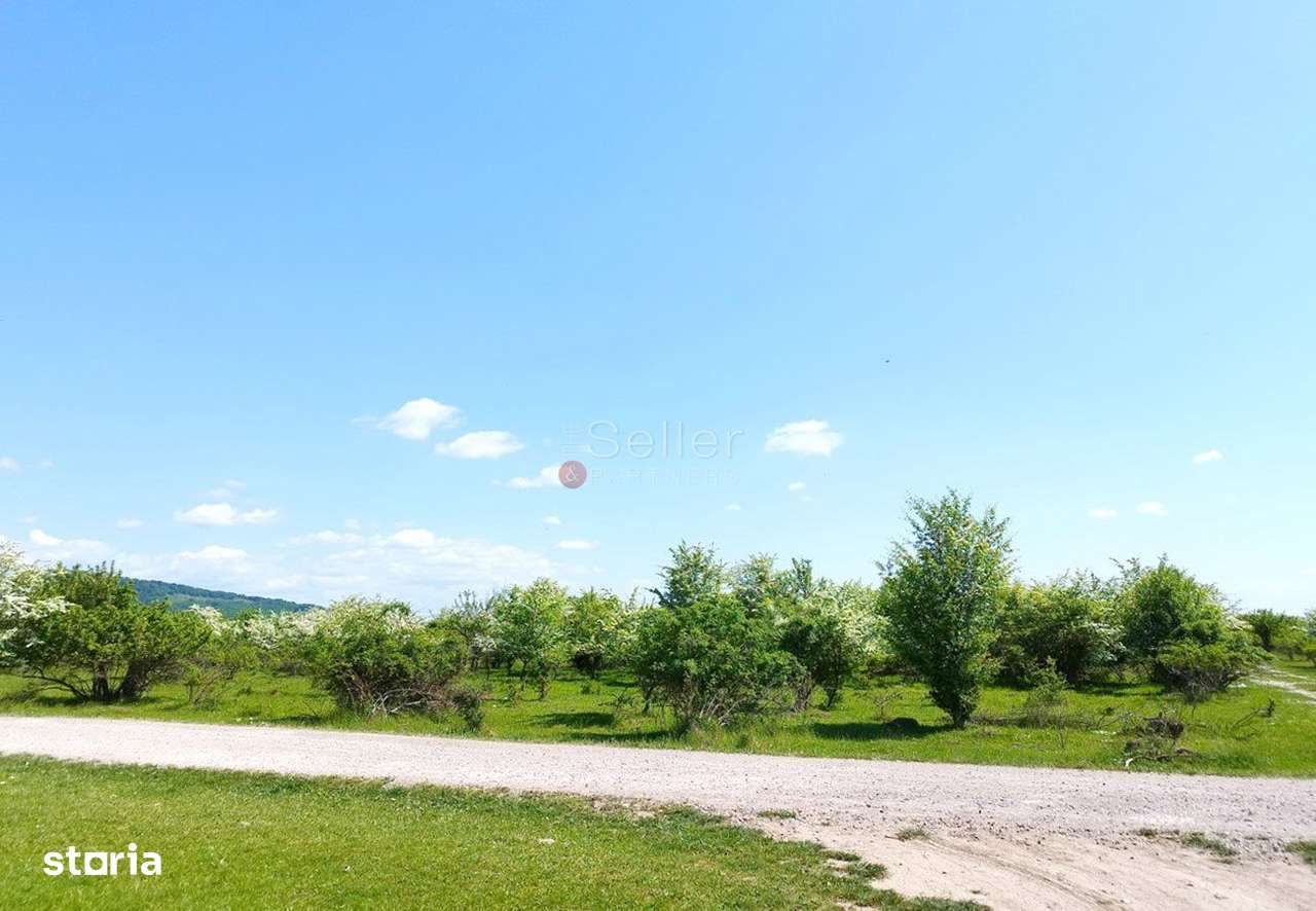 Teren Intravilan - Imagine principală: 5/9