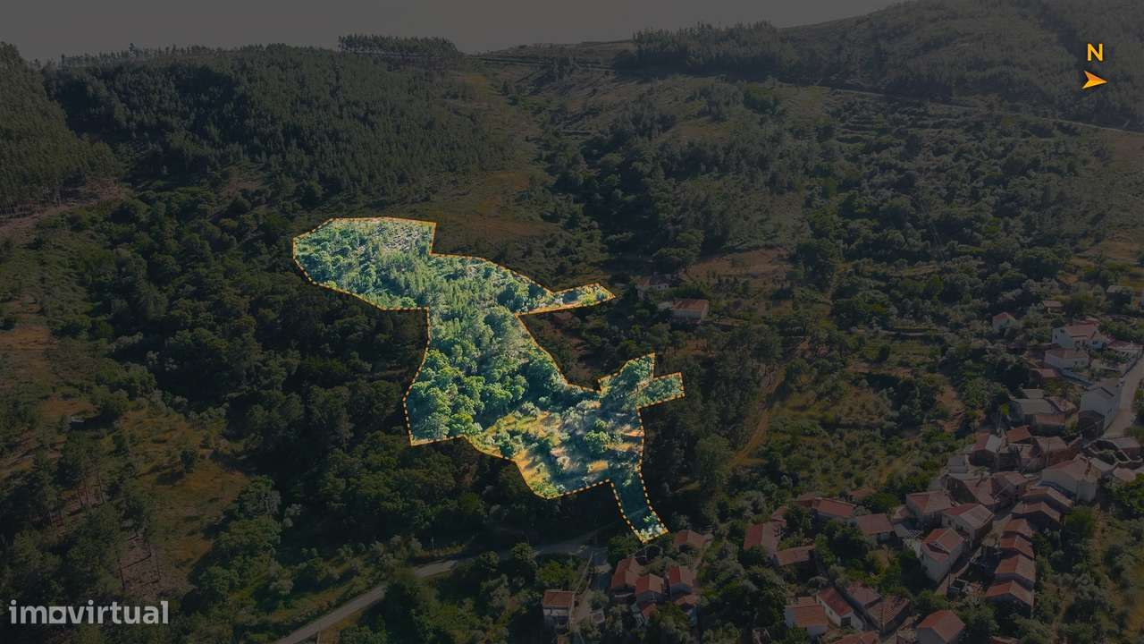 Terreno Rústico  Venda em Almaceda,Castelo Branco-13