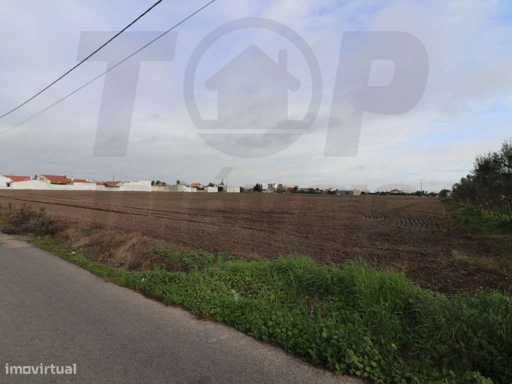 Terreno para construção de 24 moradias ou supermercado - 4,5ha - Ce... - Grande imagem: 3/3