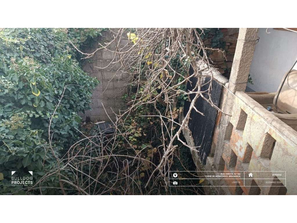 Moradia com 9 assoalhadas na Rua Direita, Carviçais-23