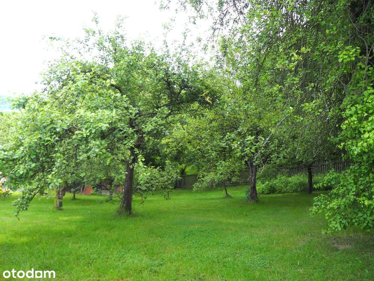 Mucharz- dom 86 m2 z działką30 ar - Pełny obrazek: 5/10